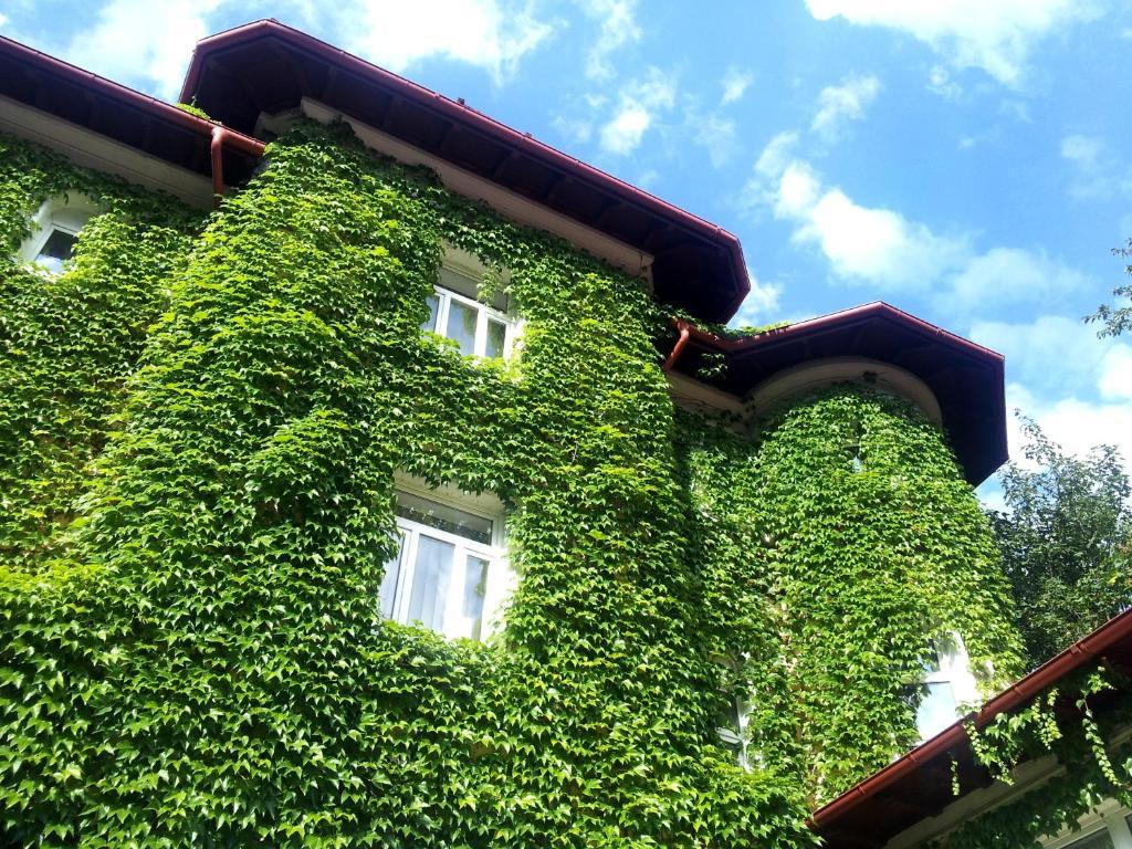 Casa De Odihna Sinaia Hotel Buitenkant foto